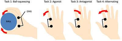 Influence of Concurrent Finger Movements on Transcranial Direct Current Stimulation (tDCS)-Induced Aftereffects